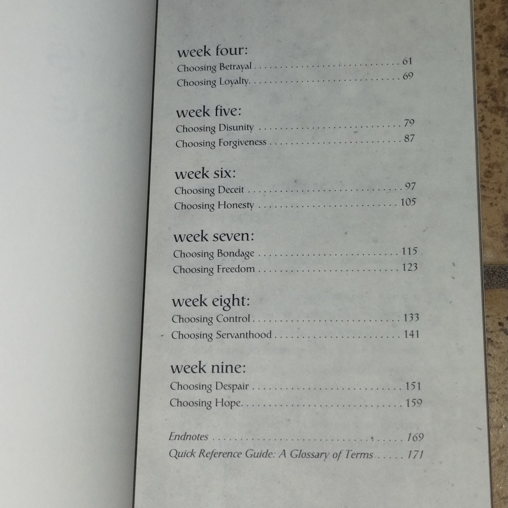 Walking With Frodo Devotional Book - Picture 6 of 7